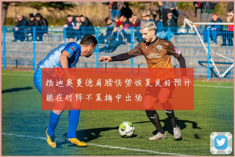 扬迪奥曼德肩膀伤势恢复良好预计能在对阵不莱梅中出场